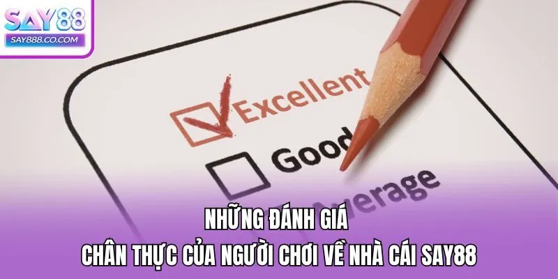 Những đánh giá chân thực của người chơi về nhà cái Say88
